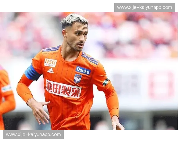 关西风云再起,新潟燕归何处?——大阪钢巴与新泻天鹅的绿茵对决前瞻 关西风云再起,新潟燕归何处?——大阪钢巴与新泻天鹅的绿茵对决前瞻